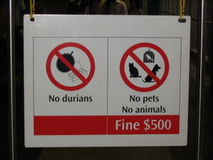 Singapore's crazy rules & signs