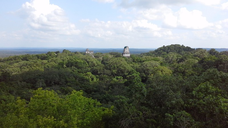 View from the tallest temple