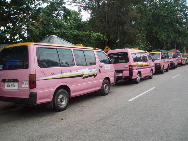 The Pink Taxi Vans