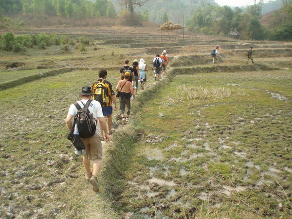Hiking through old rice fields