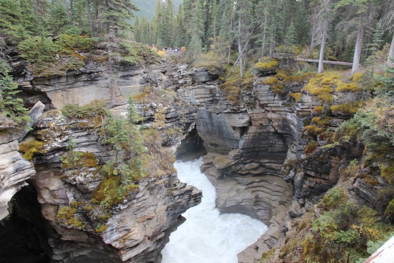 Pots formed in rock at Athabasca Falls