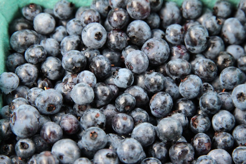 NB blueberries