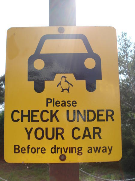 Check under your car!