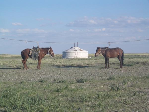 Typical Mongolia