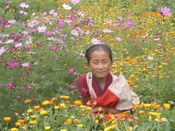 Young Tibetan girl