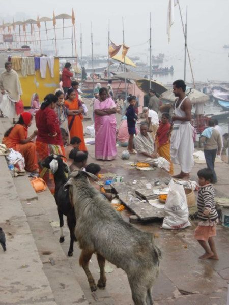 Varanasi tout en couleur