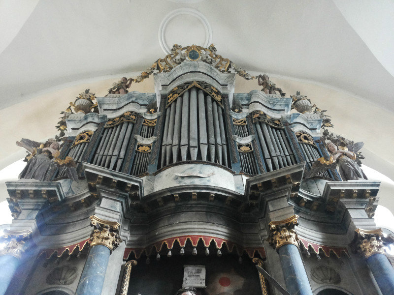 Homorod Organ