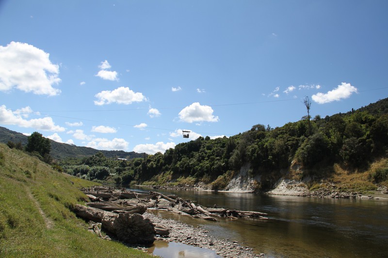 The flying fox going across the Whanganui River 