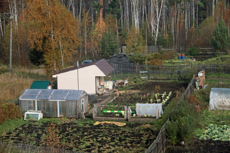 Gardens fully planted with vegetables