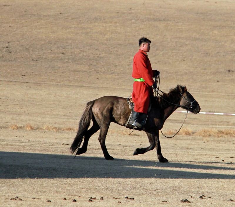 Mongolian rider