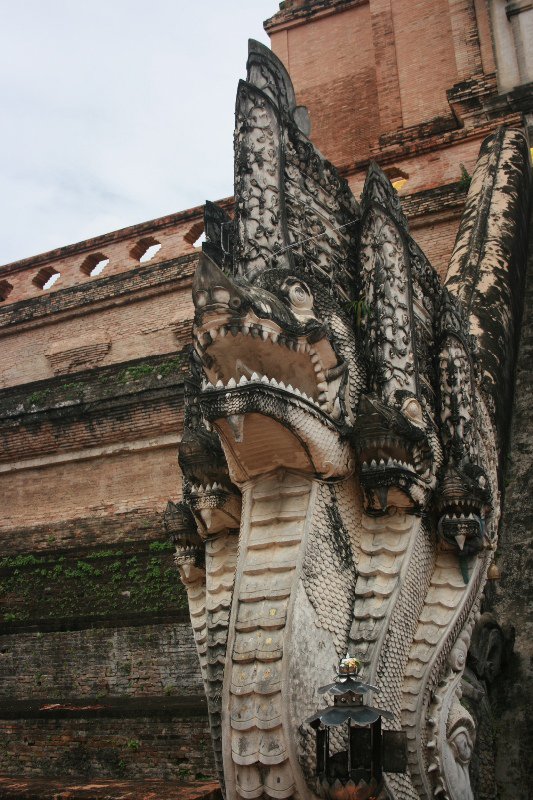 Dragon at Wat Chedi Luang