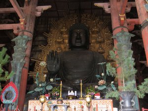 Largest bronze statue of Buddha (49.1 ft)
