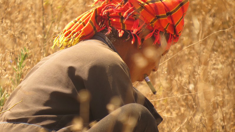 Woman smoking cigar working in the field