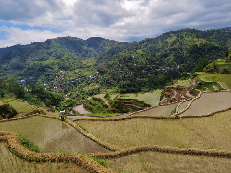 Overlooking the town of Banaue