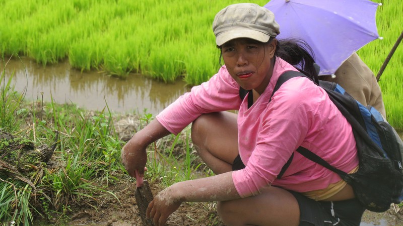 Female worker chewing betel nut