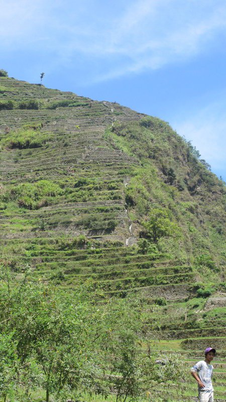 Lots of steep stairs to climb