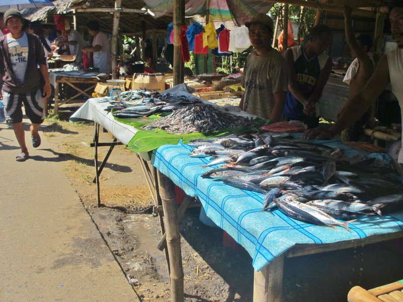 There was lots of fish for sale at the market