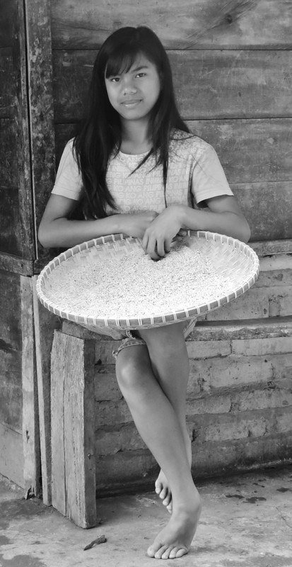 Young girl drying out rice