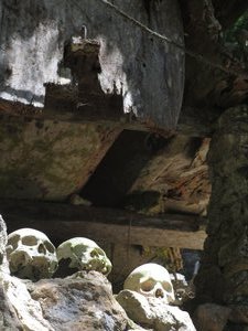 Skulls and rotten coffins at Ke'te Kesu caves
