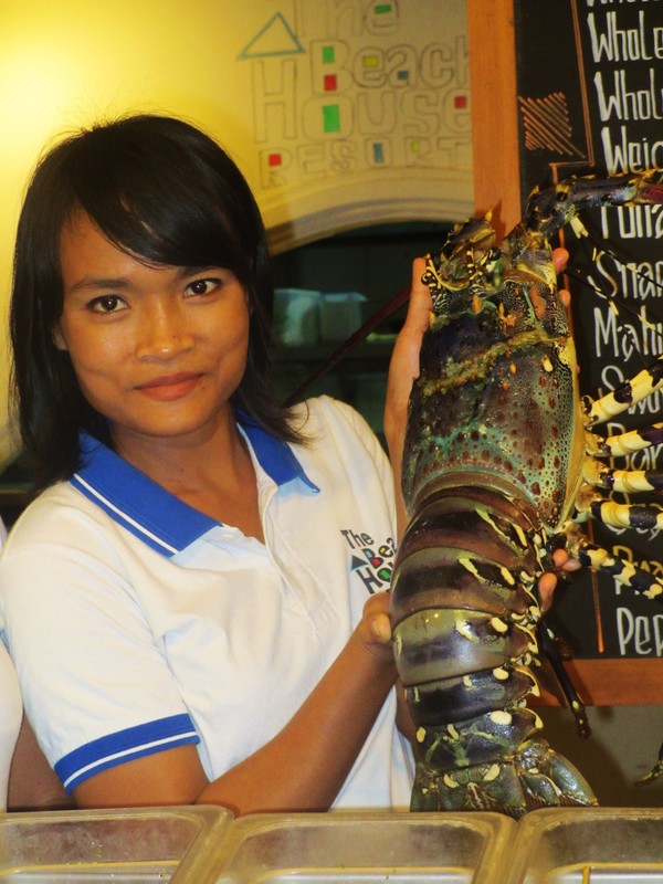 The largest lobster we've ever seen
