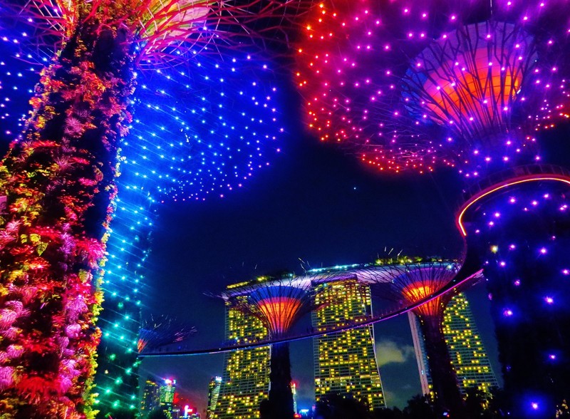 Night show - Gardens by the bay