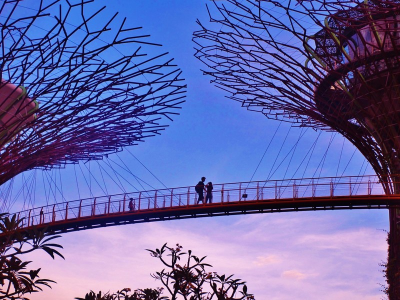 Sunset at the sky tree garden