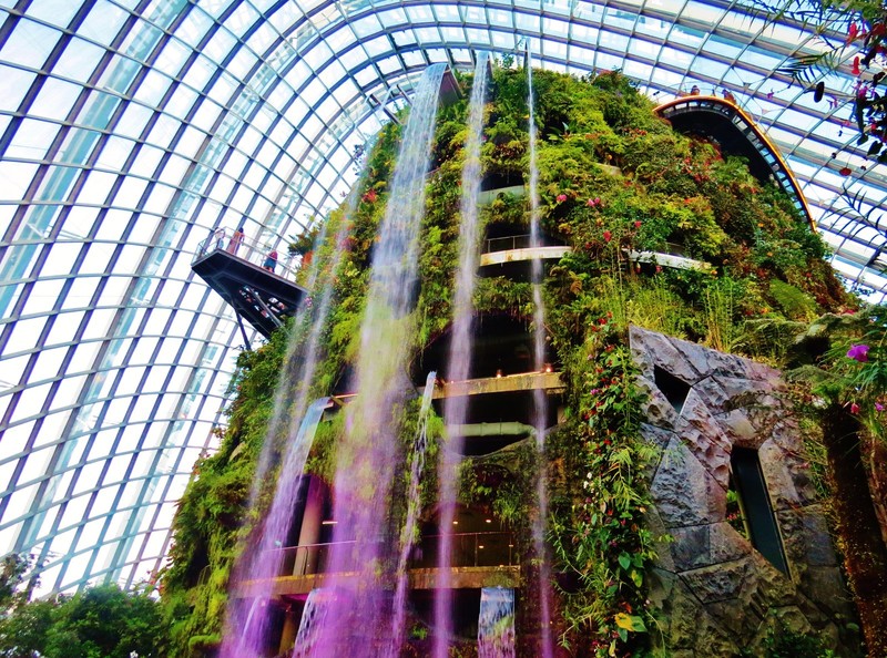 The enchanted Cloud Forest
