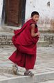 A young novice monk