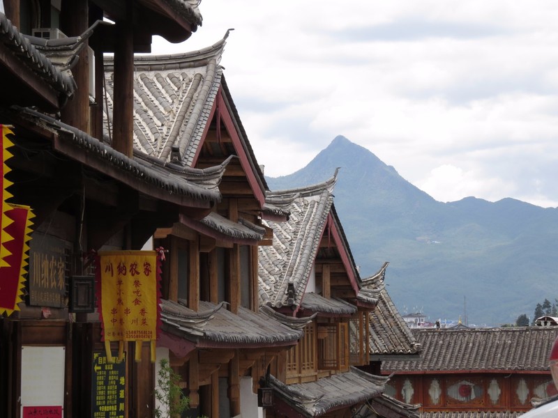 Traditional roofs