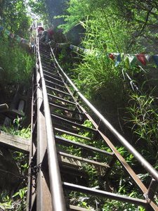 The dreaded ladder climb