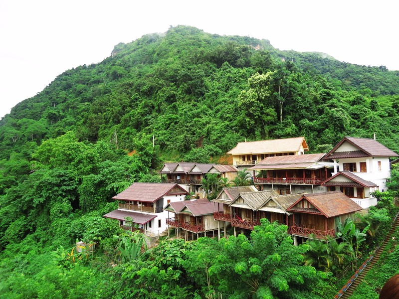 Village amongst the forest