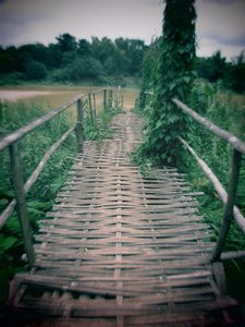 Bamboo bridge to nowhere