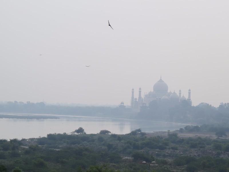 Taj Mahal from the Agra fort