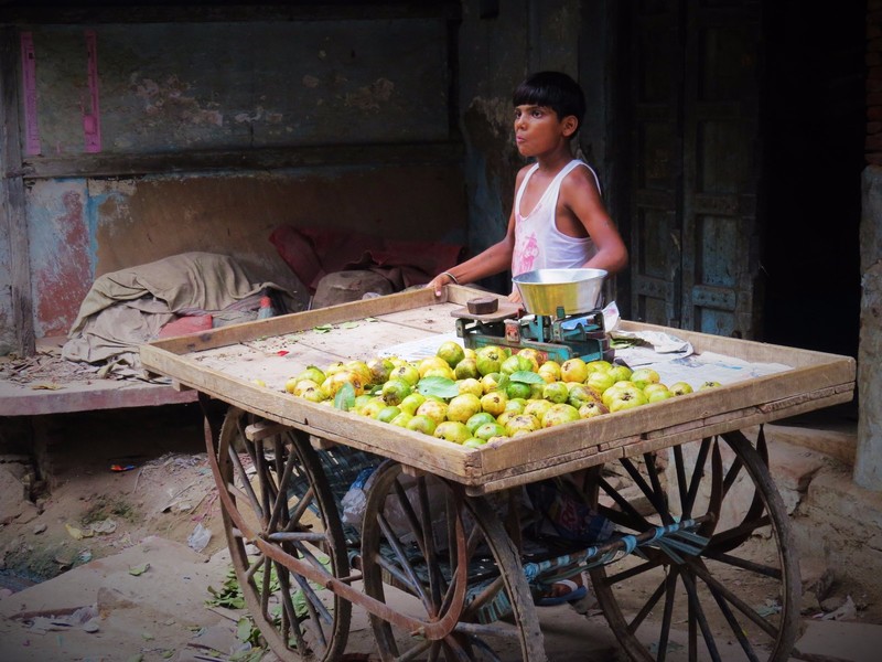Young fruit seller 