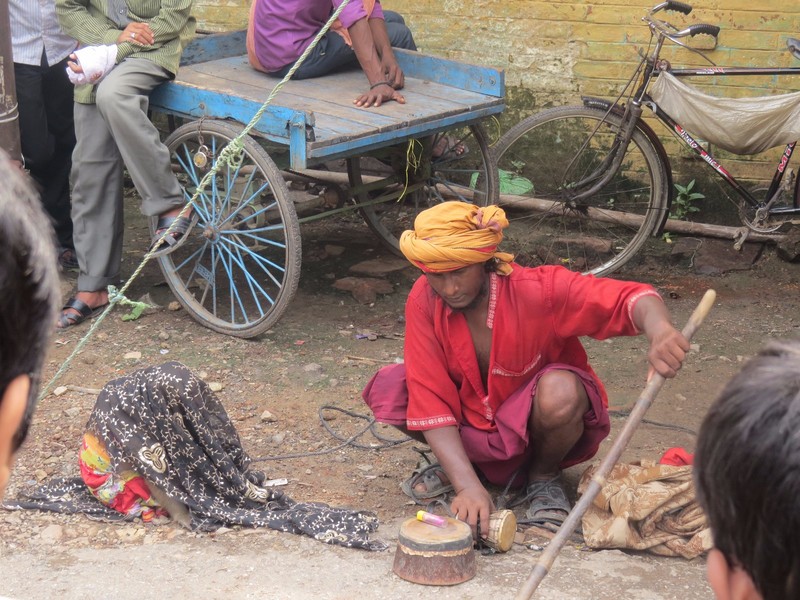 Man using captured monkeys to entertain locals