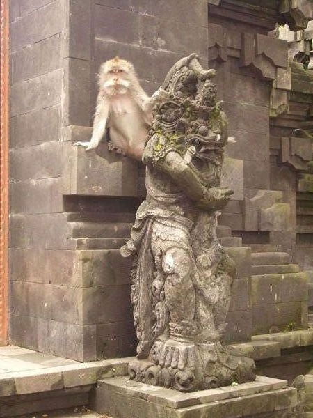 Monkey With Statue