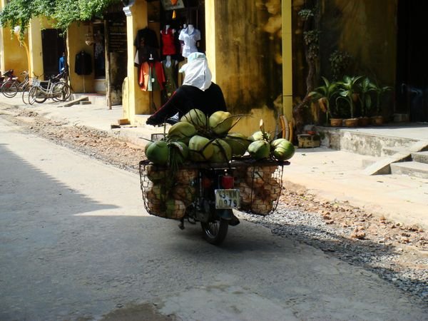 Coconut Transportation