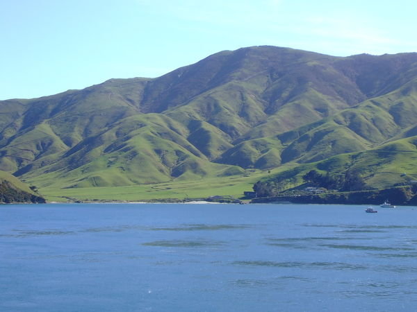 Green shores of the South Island