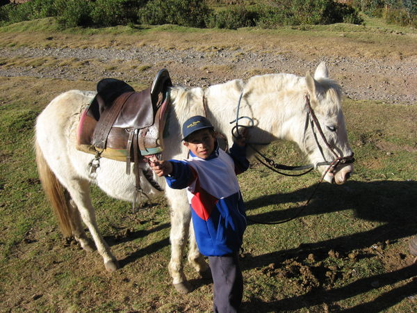 Our guide for horsebackriding