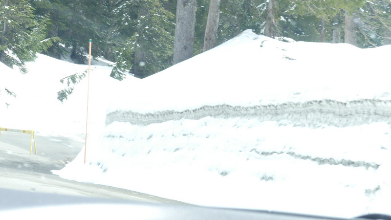 lots of snow in Rainier