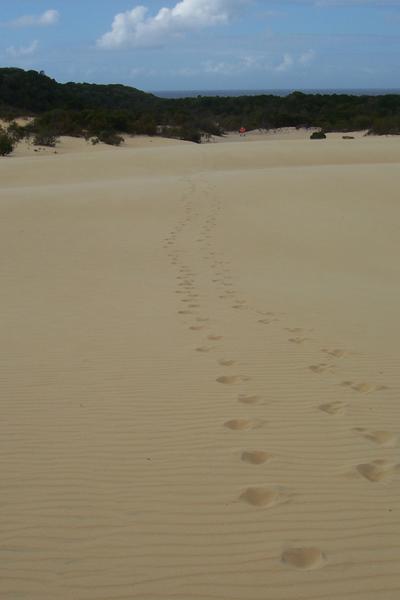 Our footprints!