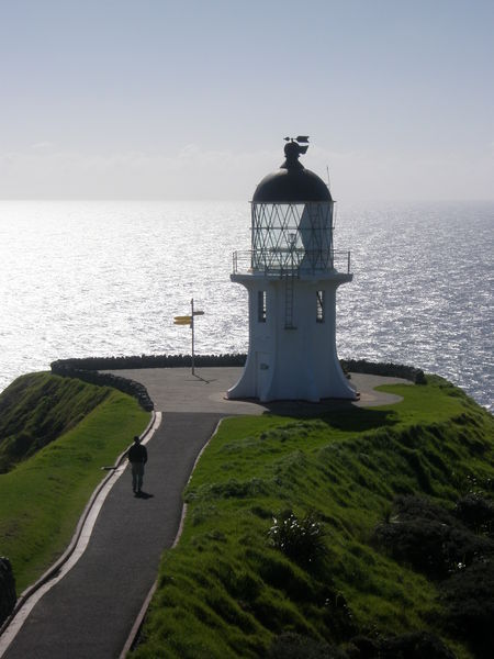 The very top of New Zealand - Cape Reinga