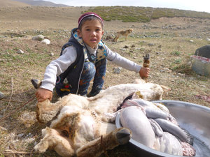 کشتن گوسفند با حضور بچه ها 