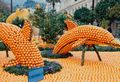 playful dolphins entered by the Italian town of Vintimille