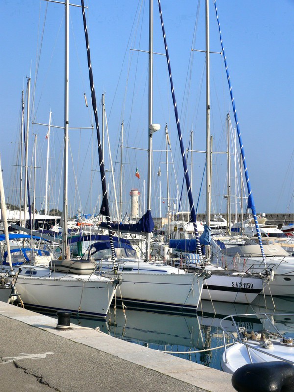Each of these small sailboats spends thousands per year just for docking privilieges.