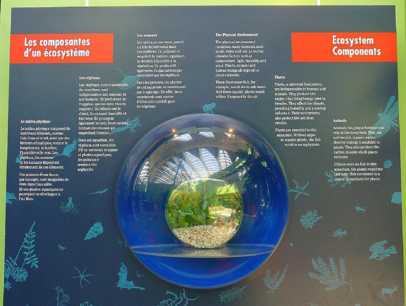 the three components of every ecosystem