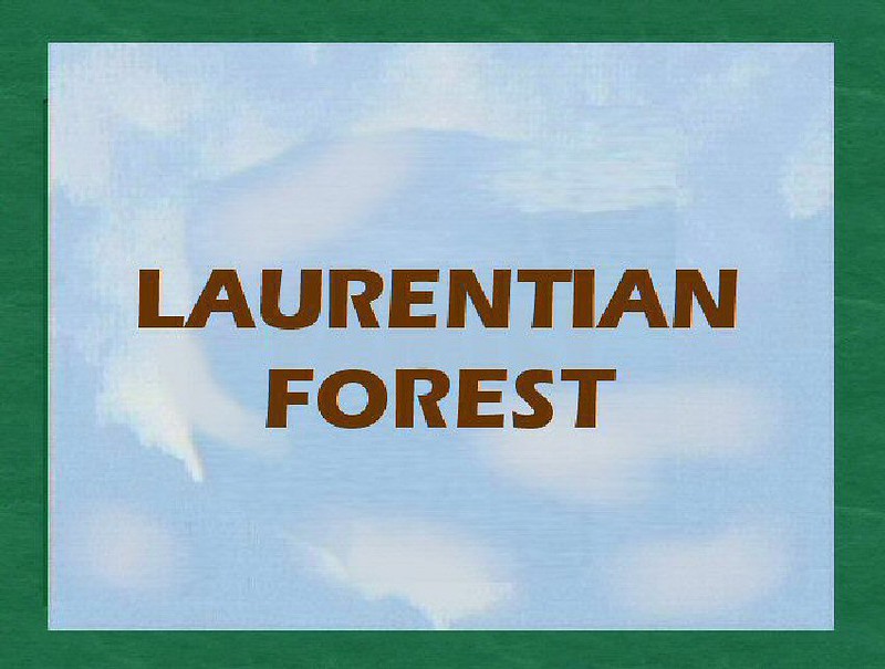 the Quebec and Ontario ''boreal'' forest