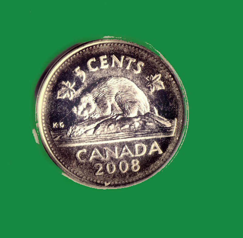 The beaver is Canada's national animal, and appeared on our first postage stamp.