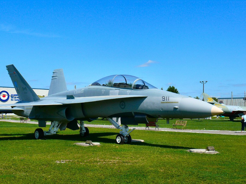 The CF-18 ''Hornet'' has served in the Gulf War, the former Yugoslavia, and Iraq.
