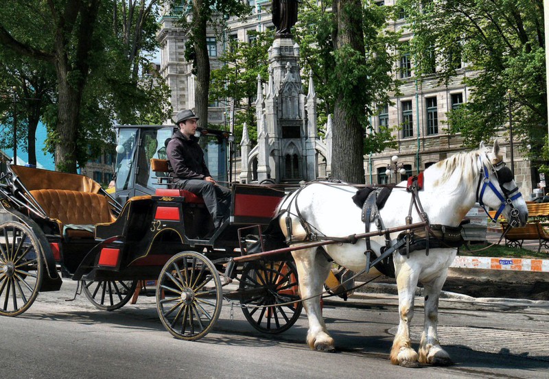 calèche, a favourite means of transport for tourists